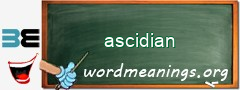 WordMeaning blackboard for ascidian